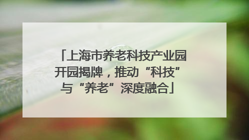 上海市养老科技产业园开园揭牌，推动“科技”与“养老”深度融合