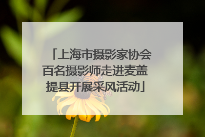 上海市摄影家协会百名摄影师走进麦盖提县开展采风活动