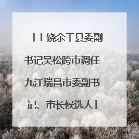 上饶余干县委副书记吴松跨市调任九江瑞昌市委副书记、市长候选人