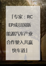 专家：RCEP成员国新能源汽车产业合作驶入共赢快车道