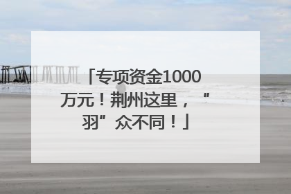 专项资金1000万元！荆州这里，“羽”众不同！
