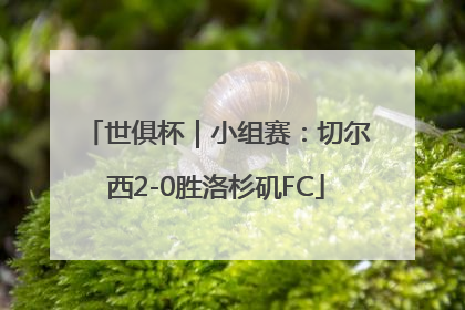 世俱杯｜小组赛：切尔西2-0胜洛杉矶FC