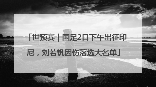 世预赛｜国足2日下午出征印尼，刘若钒因伤落选大名单