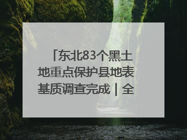东北83个黑土地重点保护县地表基质调查完成｜全国“土地日”