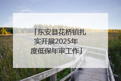东安县花桥镇扎实开展2025年度低保年审工作