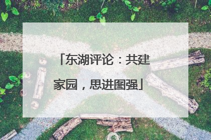 东湖评论：共建家园，思进图强