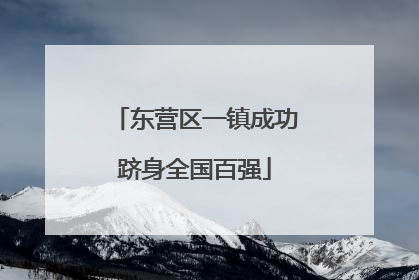 东营区一镇成功跻身全国百强
