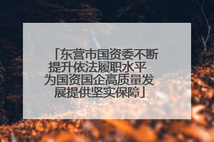 东营市国资委不断提升依法履职水平 为国资国企高质量发展提供坚实保障