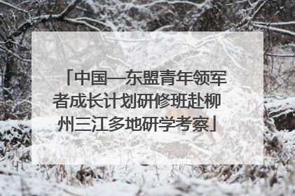 中国—东盟青年领军者成长计划研修班赴柳州三江多地研学考察