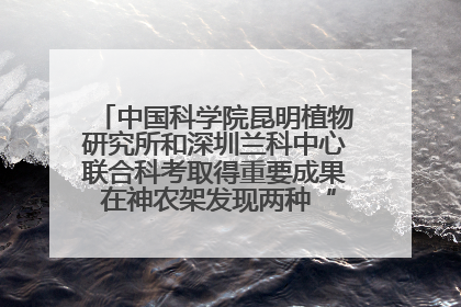 中国科学院昆明植物研究所和深圳兰科中心联合科考取得重要成果 在神农架发现两种“国保”级兰花