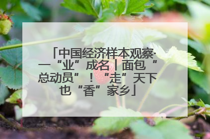 中国经济样本观察·一“业”成名丨面包“总动员”！“走”天下也“香”家乡