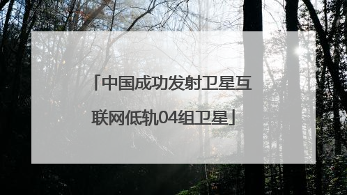 中国成功发射卫星互联网低轨04组卫星