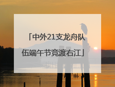 中外21支龙舟队伍端午节竞渡右江