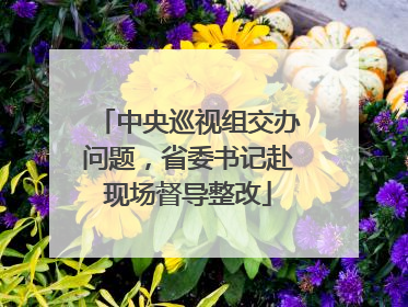 中央巡视组交办问题，省委书记赴现场督导整改