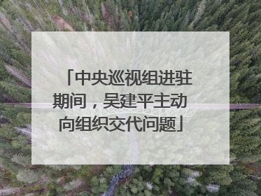 中央巡视组进驻期间，吴建平主动向组织交代问题