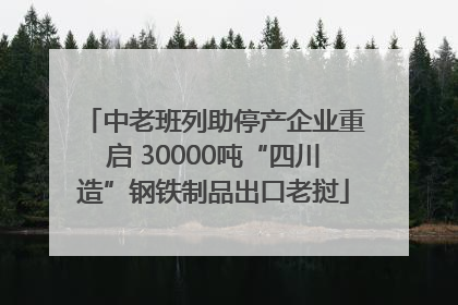 中老班列助停产企业重启 30000吨“四川造”钢铁制品出口老挝