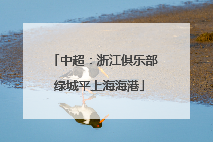 中超：浙江俱乐部绿城平上海海港