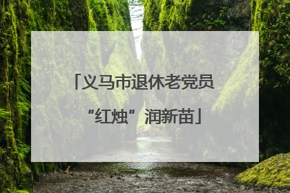 义马市退休老党员“红烛”润新苗