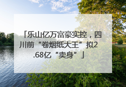乐山亿万富豪实控，四川前“卷烟纸大王”拟2.68亿“卖身”