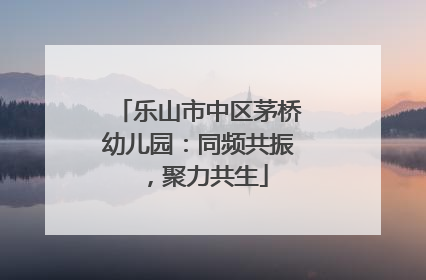 乐山市中区茅桥幼儿园：同频共振，聚力共生