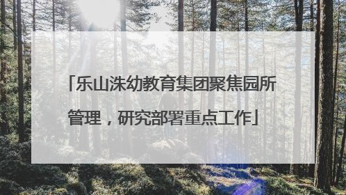 乐山洙幼教育集团聚焦园所管理，研究部署重点工作