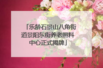 乐龄石景山八角街道景阳东街养老照料中心正式揭牌