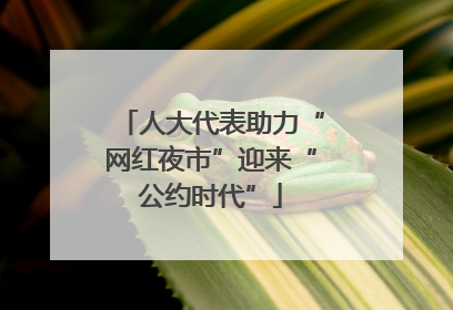 人大代表助力“网红夜市”迎来“公约时代”
