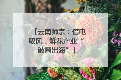 云南师宗：借电驭风，鲜花产业“破圈出海”