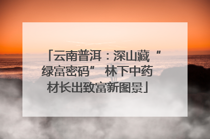 云南普洱：深山藏“绿富密码” 林下中药材长出致富新图景