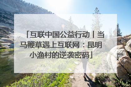 互联中国公益行动丨当马鞭草遇上互联网：昆明小渔村的逆袭密码