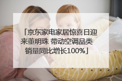 京东家电家居惊喜日迎来董明珠 带动空调品类销量同比增长100%