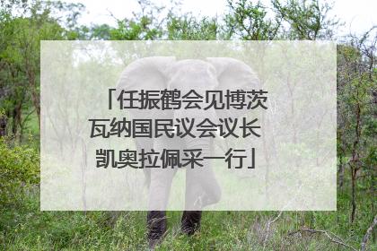 任振鹤会见博茨瓦纳国民议会议长凯奥拉佩采一行