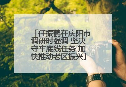 任振鹤在庆阳市调研时强调 坚决守牢底线任务 加快推动老区振兴