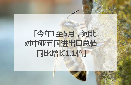 今年1至5月，河北对中亚五国进出口总值同比增长1.1倍