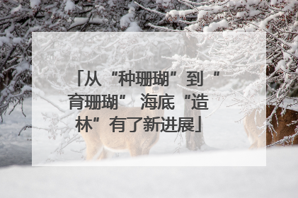 从“种珊瑚”到“育珊瑚” 海底“造林”有了新进展