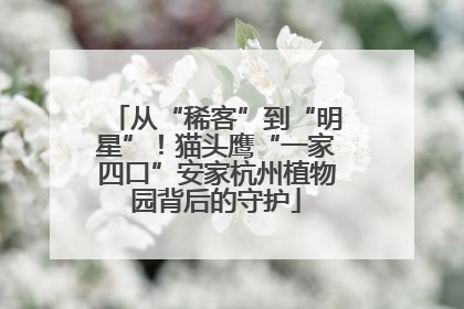 从“稀客”到“明星”！猫头鹰“一家四口”安家杭州植物园背后的守护