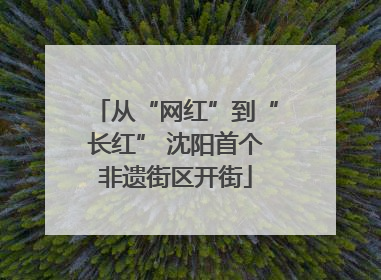 从“网红”到“长红” 沈阳首个非遗街区开街