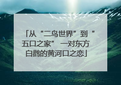 从“二鸟世界”到“五口之家” 一对东方白鹳的黄河口之恋