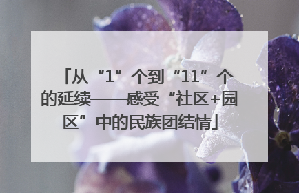 从“1”个到“11”个的延续——感受“社区+园区”中的民族团结情