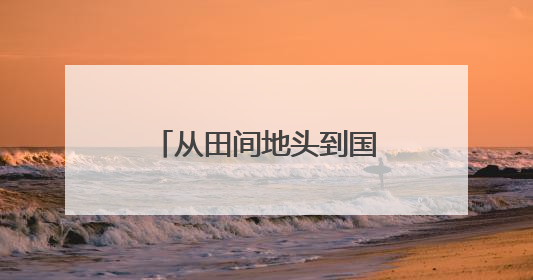 从田间地头到国际舞台！东昌葫芦闪耀深圳文博会
