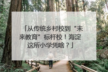 从传统乡村校到“未来教育”标杆校！海淀这所小学凭啥？