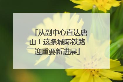 从副中心直达唐山！这条城际铁路迎重要新进展