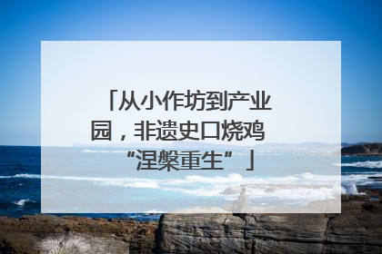从小作坊到产业园，非遗史口烧鸡“涅槃重生”