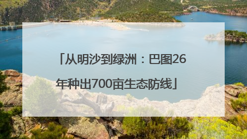从明沙到绿洲：巴图26年种出700亩生态防线