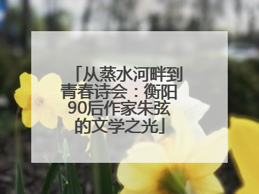 从蒸水河畔到青春诗会：衡阳90后作家朱弦的文学之光