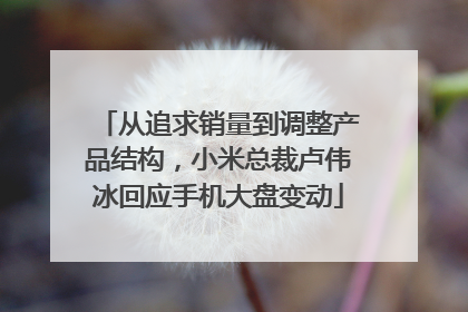 从追求销量到调整产品结构，小米总裁卢伟冰回应手机大盘变动