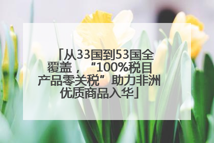 从33国到53国全覆盖，“100%税目产品零关税”助力非洲优质商品入华