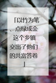 以竹为笔、点绿成金 这个乡镇交出了他们的共富答卷