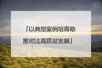 以典型案例培育助推司法高质量发展