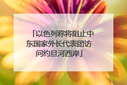 以色列称将阻止中东国家外长代表团访问约旦河西岸